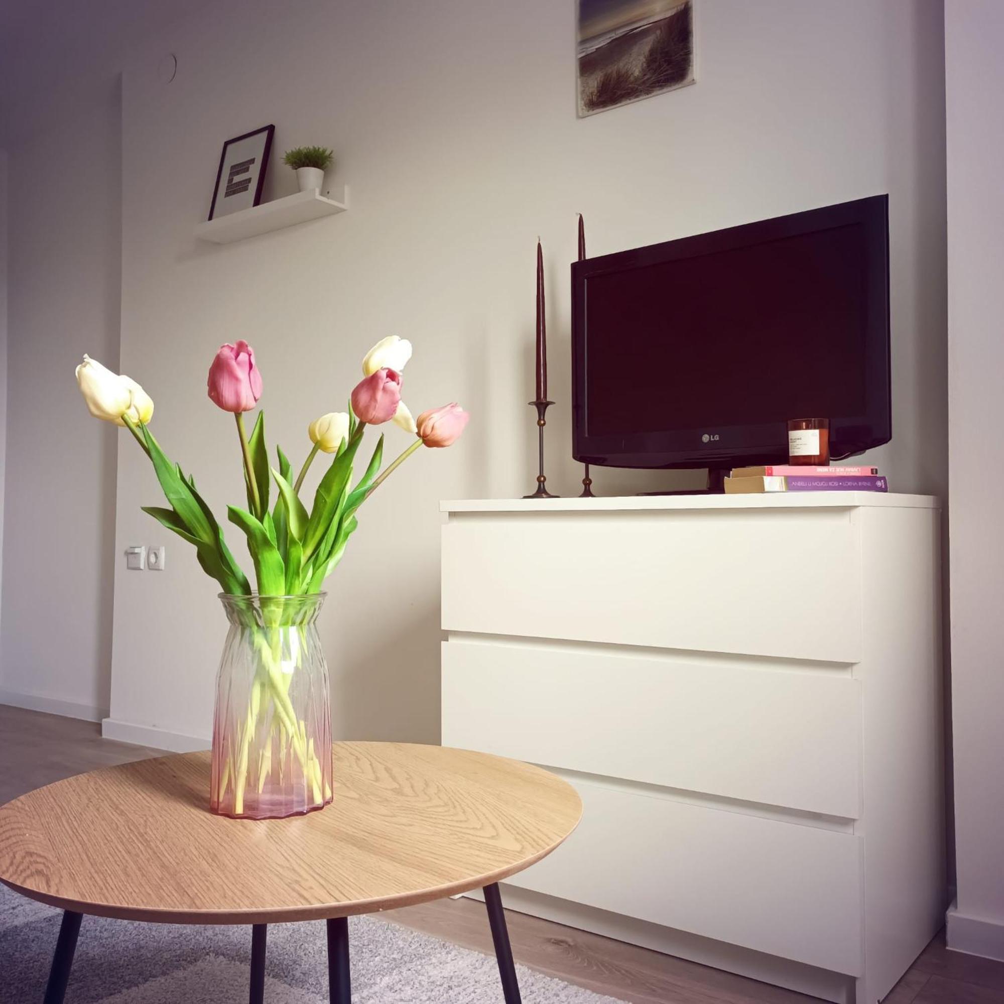 Bright And Modern Studio Near City Center Apartment Загреб Екстериор снимка